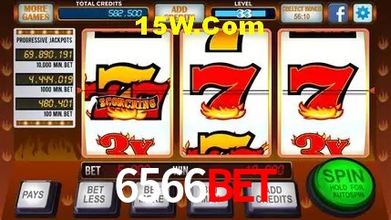6566Bet - User Statistics